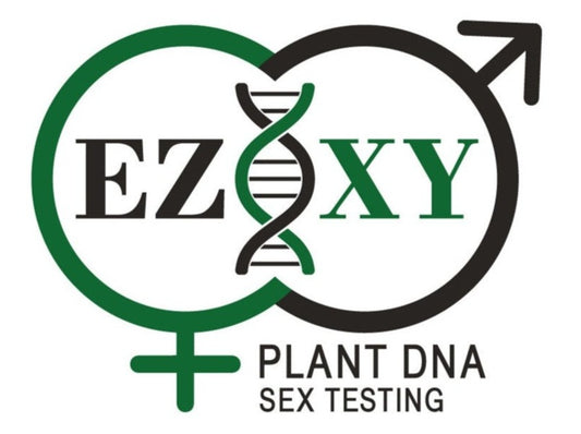Fig Leaf Sex Test - Find Out if Fig Tree or Seedling is Male Caprifig or Female
