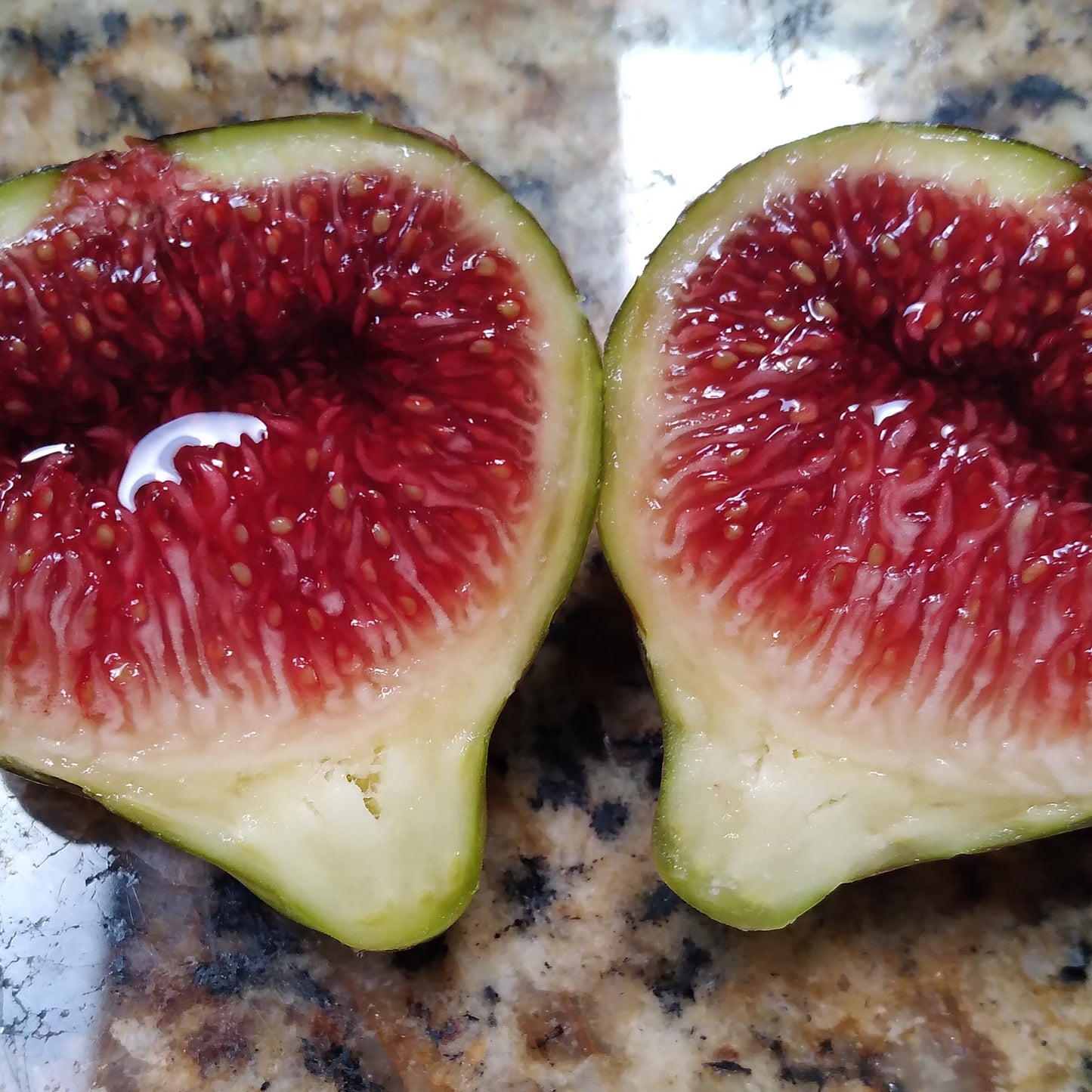 smith fig cut in half