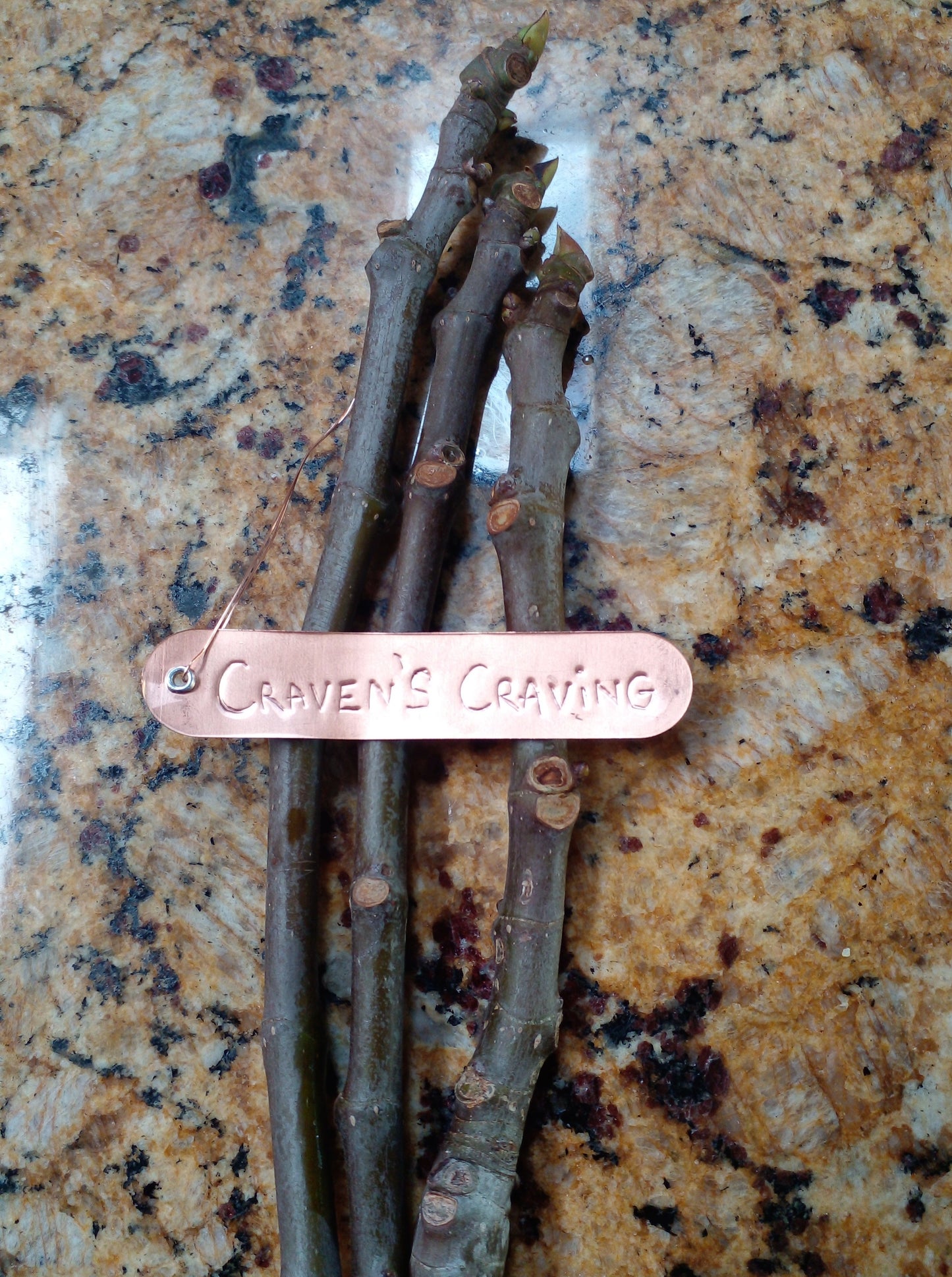 Craven's Craving Fig - 2 Cuttings - Purple Figs with a Rich Berry Flavor