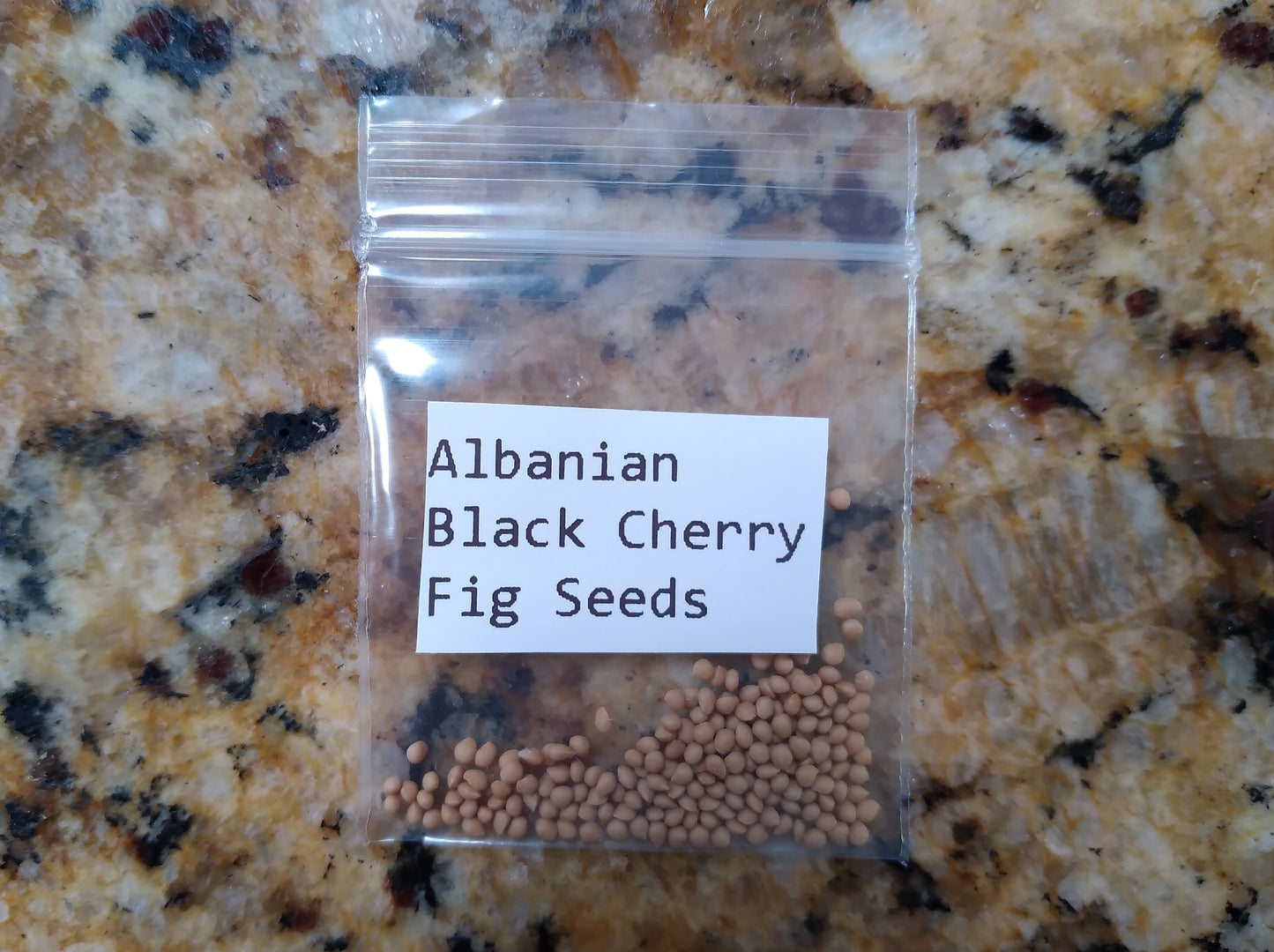 Albanian Black Chery Fig Tree - 50 Seeds - Easy to Grow from Seed