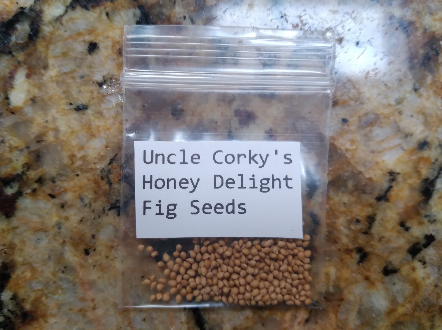 Corky's Honey Delight Fig Tree - 50 Fig Seeds - High Germination Rate