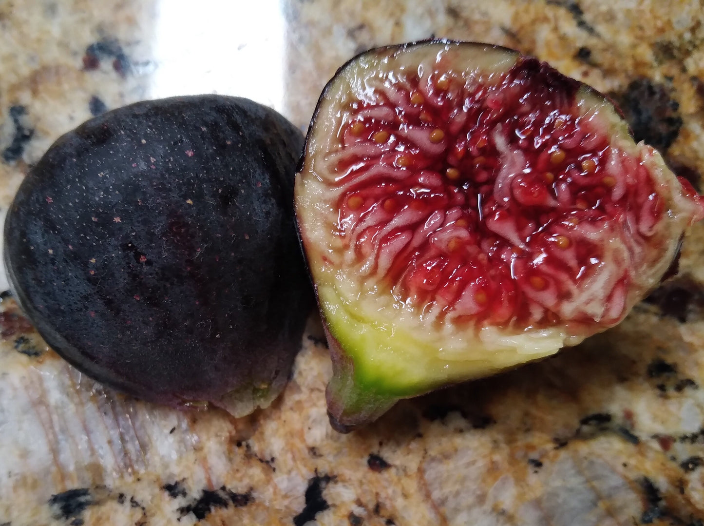 Corky's / Palmata Hybrid Fig - 2 Cuttings - New Variety - Sweet Tangy Berry Flavor