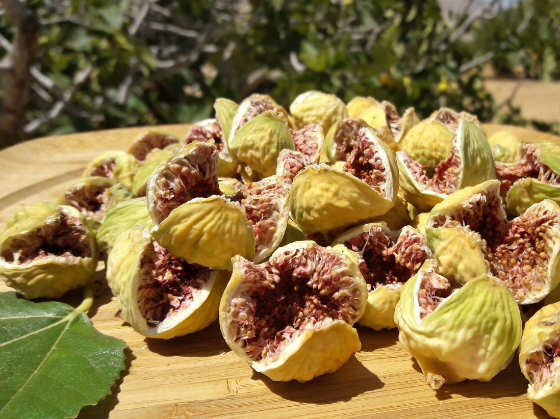 Atushi White Fig - 2- Cuttings - Ficus Afghanistanica - Great Fig for Sun Drying