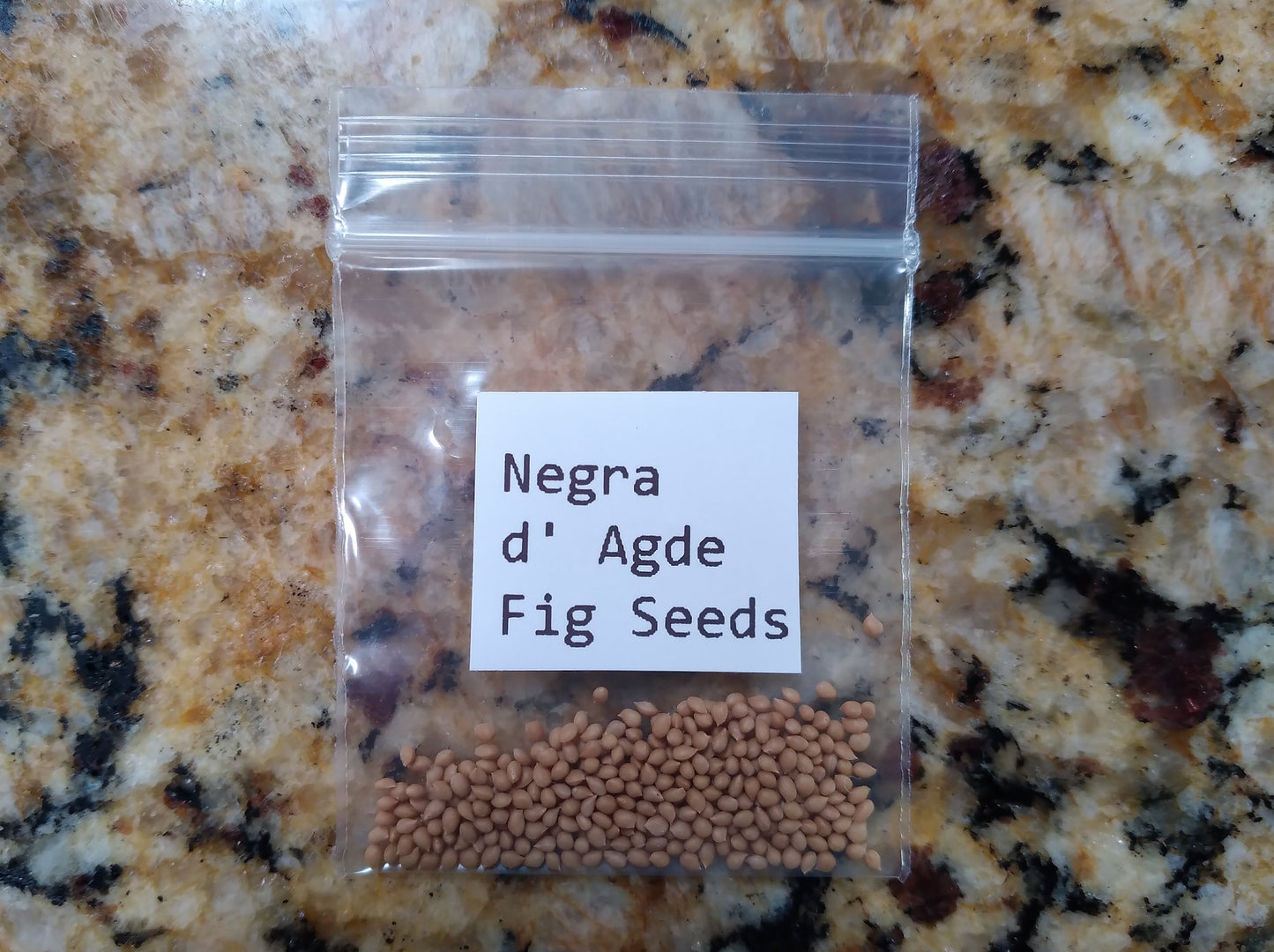 Negra d' Agde Fig Tree - 50 Seeds - Easy to Grow from Seed