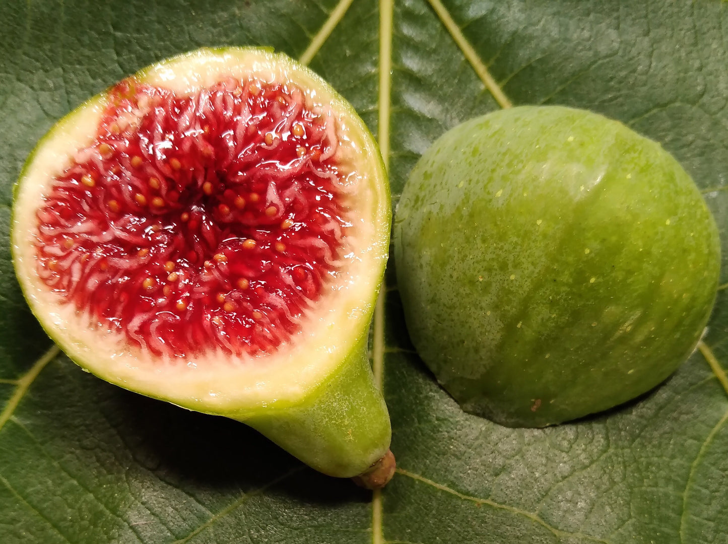 Strawberry Verte Fig - 100 Seeds - Easy to Grow From Seed