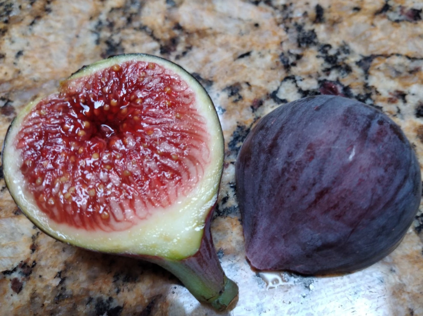 Roasted Butternut Squash • Two Purple Figs